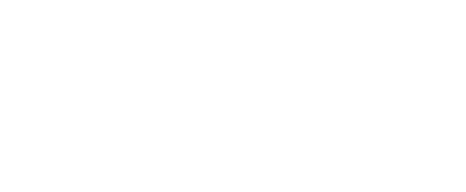 Paimion Optiikka logo